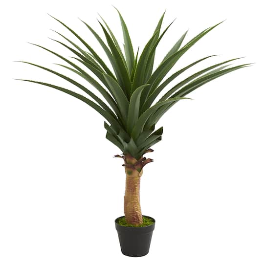3.5ft. Potted Agave Plant